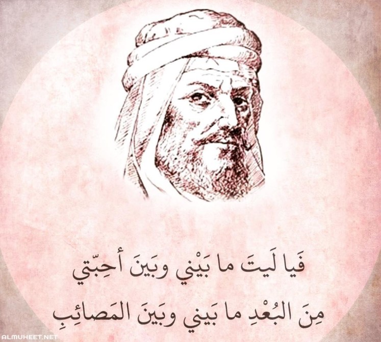 نتيجة بحث الصور عن المتنبى