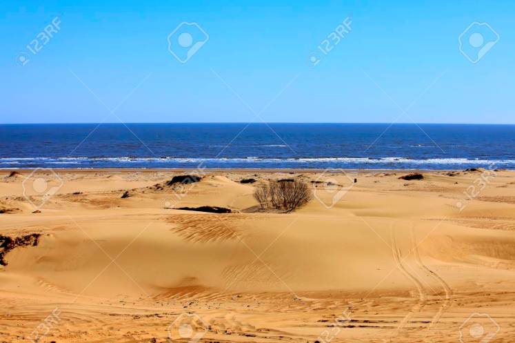 نتيجة بحث الصور عن sea and desert