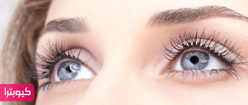 جواب السؤال ما هى من الاعضاء ومكونة من خمس حروف ؟