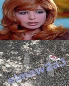 ناهد شريف كيف ماتت .. حقيقة سبب وفاتها وتفاصيل عن حياتها