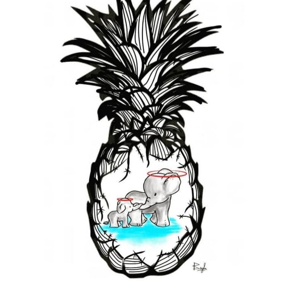 قصة موت أنثى الفيل الحامل وحرقها في النهر