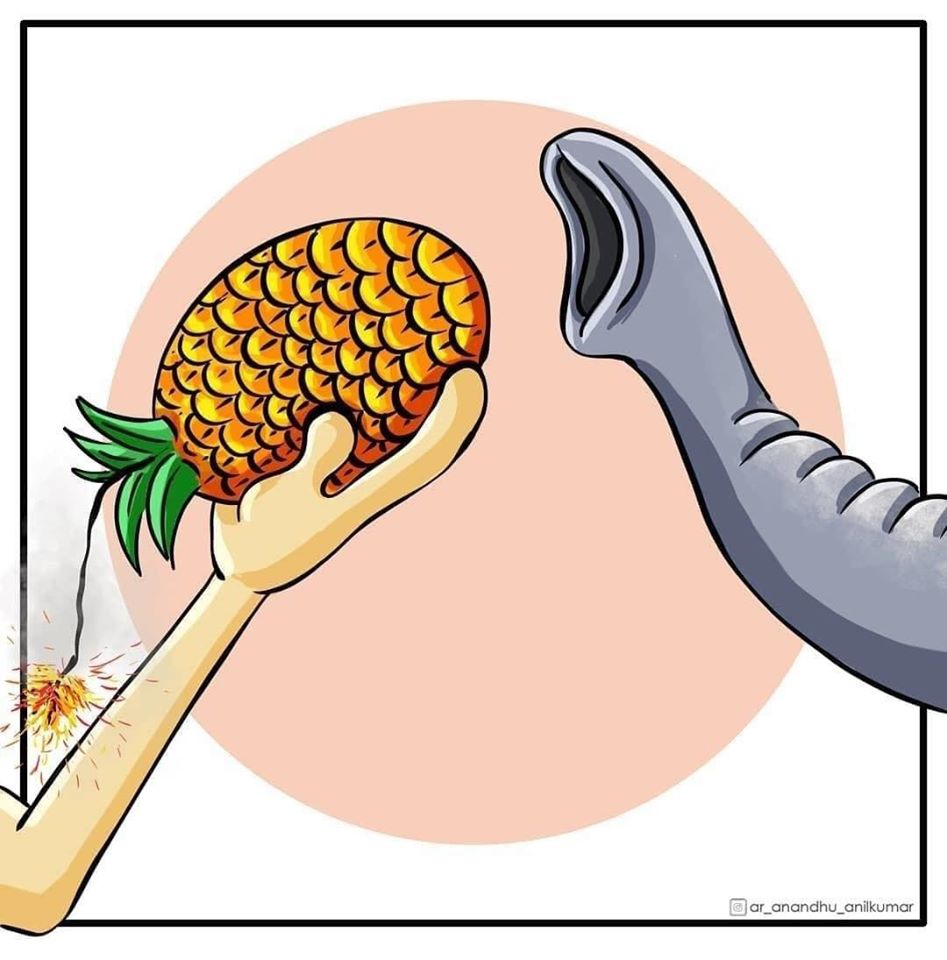 قصة موت أنثى الفيل الحامل وحرقها في النهر