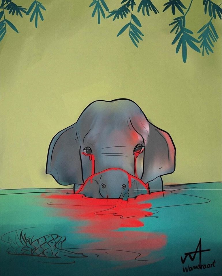 قصة موت أنثى الفيل الحامل وحرقها في النهر