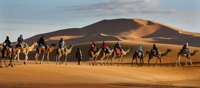 اسماء قبائل الامارات الشيعية