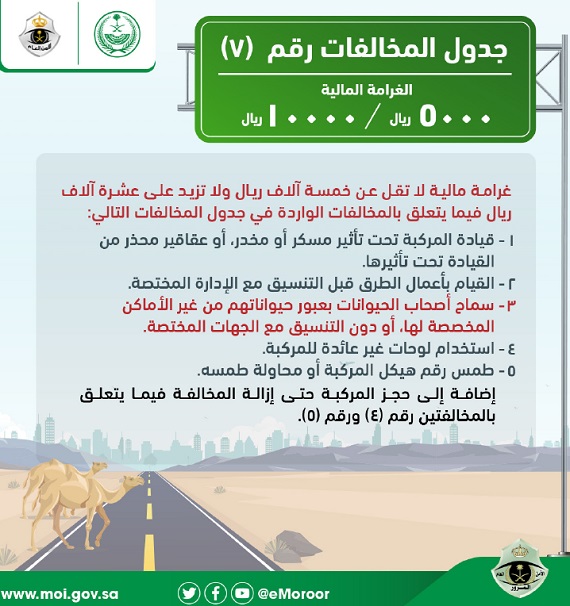 جدول المخالفات