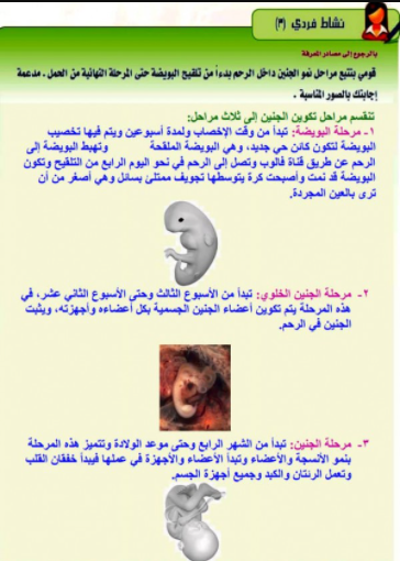 قومي بتتبع مراحل نمو الجنين داخل الرحم بدءا من تلقيح البويضة حتى المرحلة النهائية من الحمل بالصور