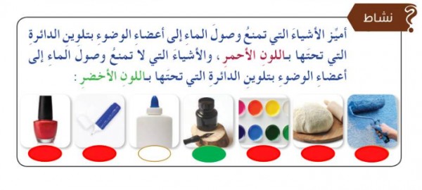 أميز الأشياء التي تمنع وصول الماء لـ أعضاء الوضوء