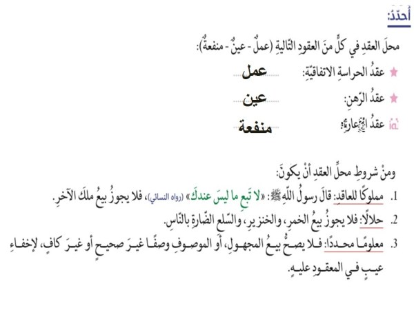 حل فحص العقود المالية في الإسلام