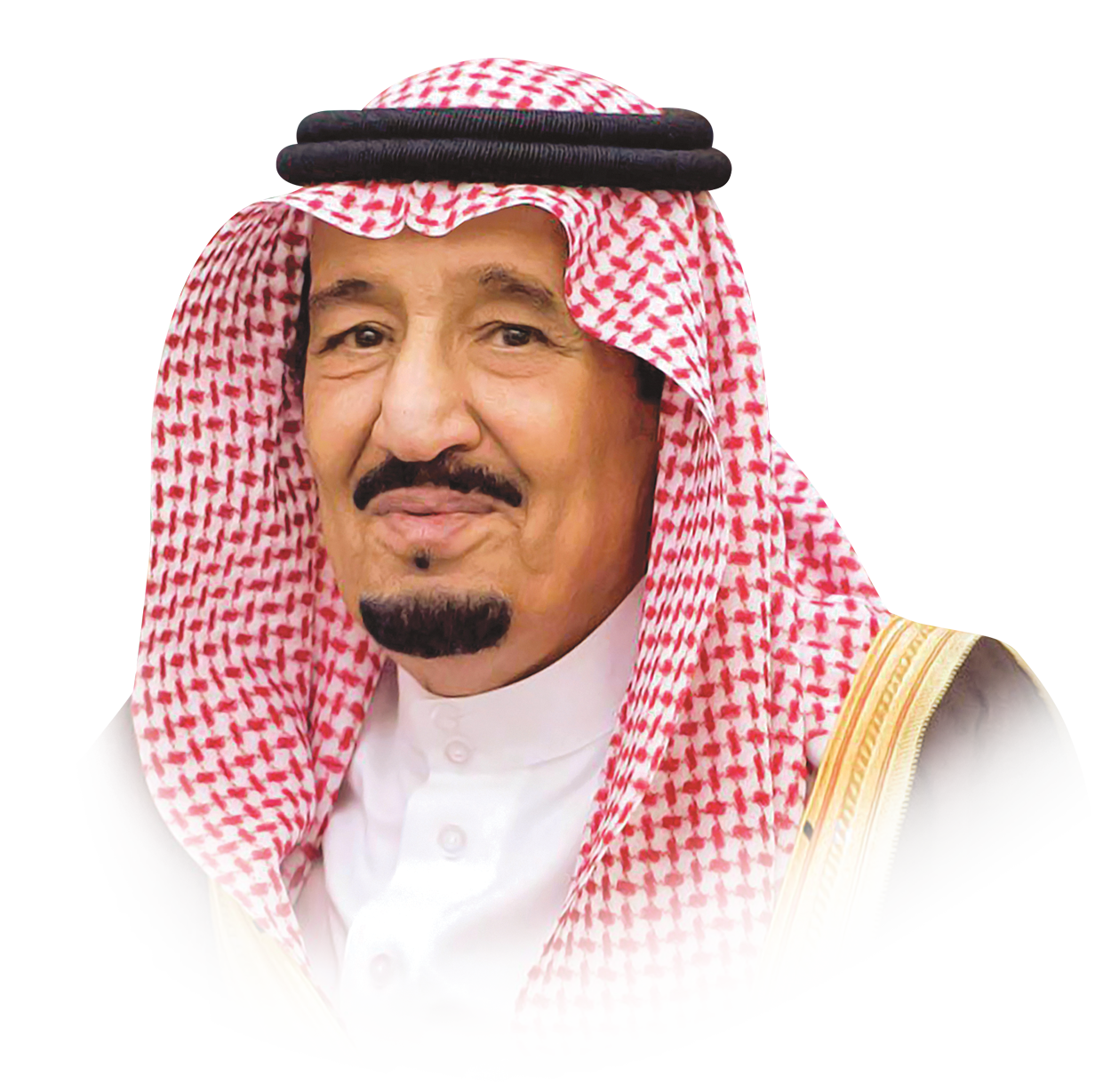 صور شريرة للملك سلمان