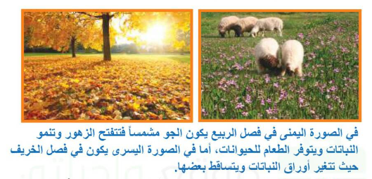 أقارن بين الطقس في الصورتين التاليتين