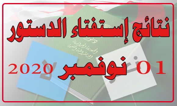 نتائج إستفتاء الدستور 1 نوفمبر 2020