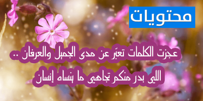 عبارات الشكر والامتنان للأصدقاء