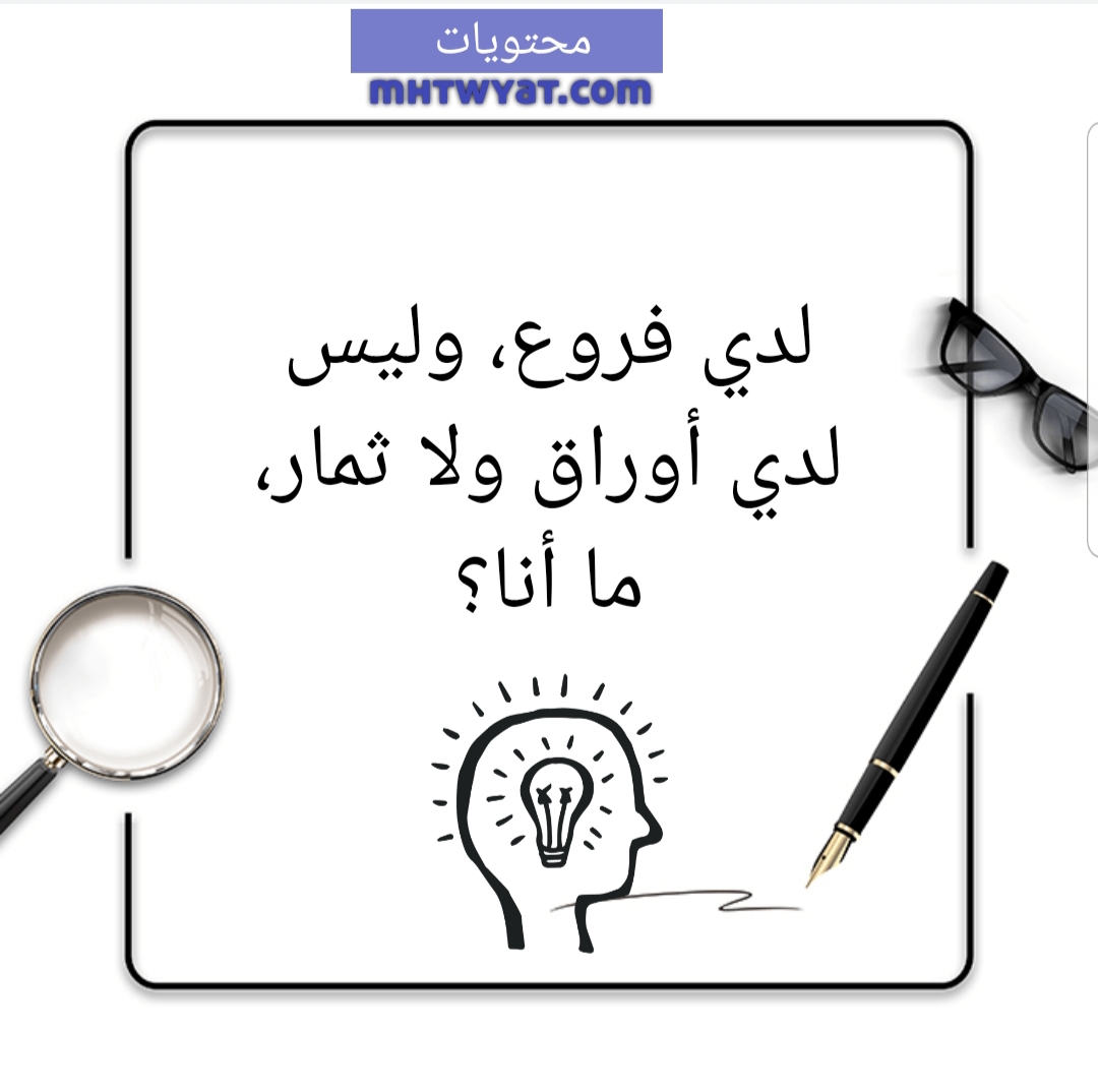 ألغاز الصورة