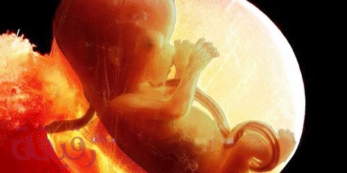 ما فائدة السائل الأمنيوسي المحيط بالجنين وما هو مستواه الطبيعي وهل يمكن زيادته بشكل طبيعي؟ | مجلة رقيقة