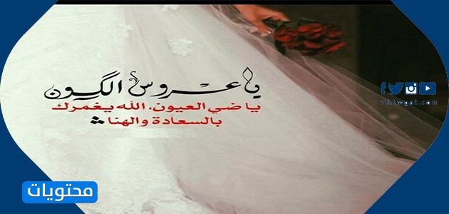 كلمات لصديقتي