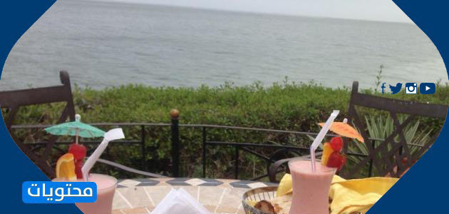 لاغونا ما يكفي من الأخبار