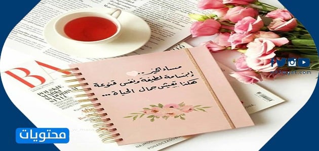 صور صباح الورد و الحب و الياسمين لا اروعها