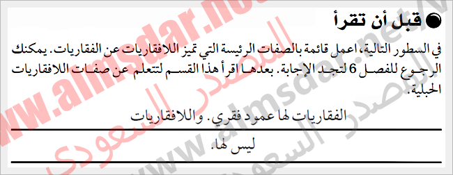 شوكيات الجلد واللافقاريات الحبلية أساسيات شوكيات الجلد واللافقاريات الحبلية أساسيات