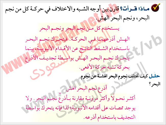 خصائص شوكيات الجلد خصائص شوكيات الجلد