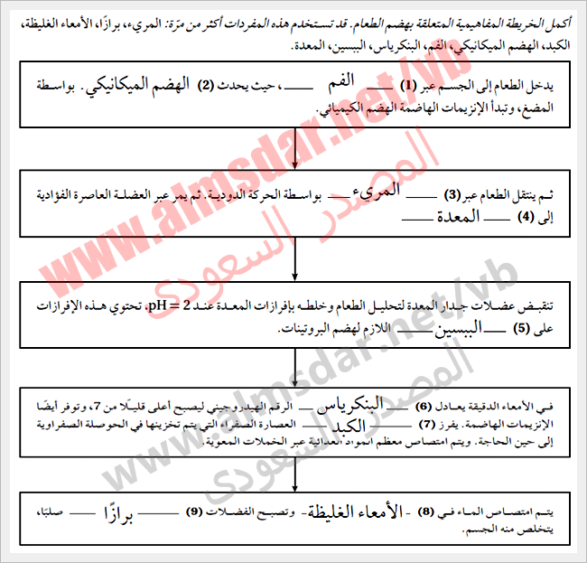 جهازا الهضم والغدد الصم مصادر جهازا الهضم والغدد الصم مصادر