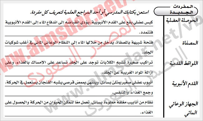 شوكيات الجلد واللافقاريات الحبلية كراسة