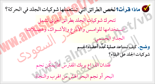 خصائص شوكيات الجلد خصائص شوكيات الجلد