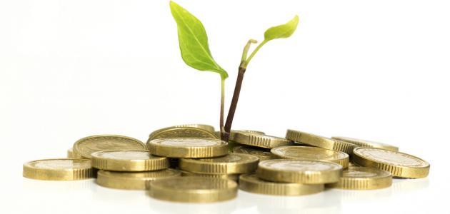 ما هو العدد الكافي من أموال الزكاة؟