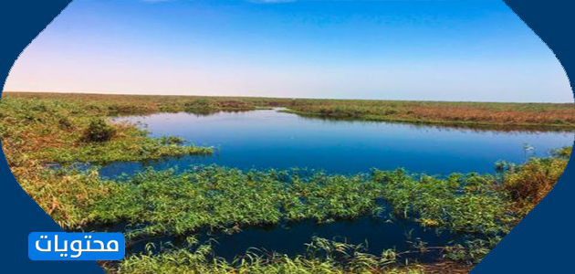 أكبر محمية طبيعية في الكويت
