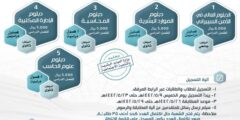 دبلومات جامعة القصيم 1442 ورابط التقديم على دبلومات جامعة القصيم qudcss.com