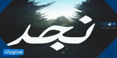 معنى كلمة نجد في قاموس المعجم الوسيط ولسان العرب