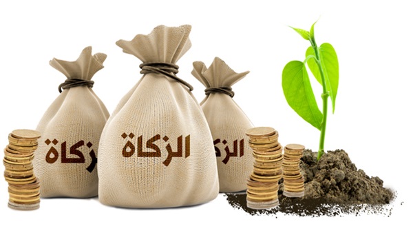 ما هو العدد الكافي للزكاة وما هي الشروط؟