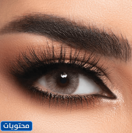 أفضل عدسات ملونة لي