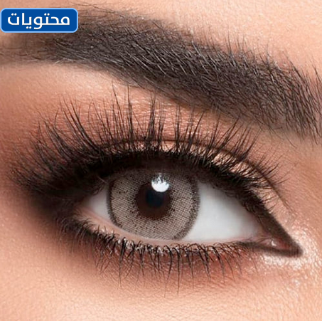 أفضل عدسات ملونة لي