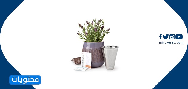 Anneler Günü hediyeleri 2021 için çekici ve güzel fikirler