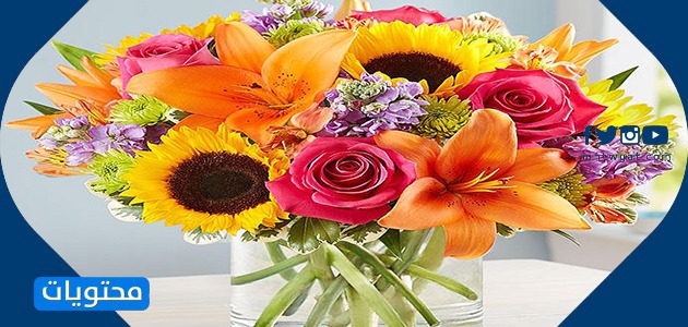 Anneler Günü resimleri için en güzel hediyeler