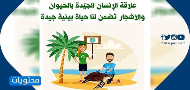عبارات تساعد في تحسين البيئة المدرسية 6