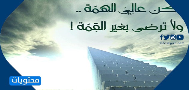 Resimlerde mükemmellik ve mükemmellik ifadeleri