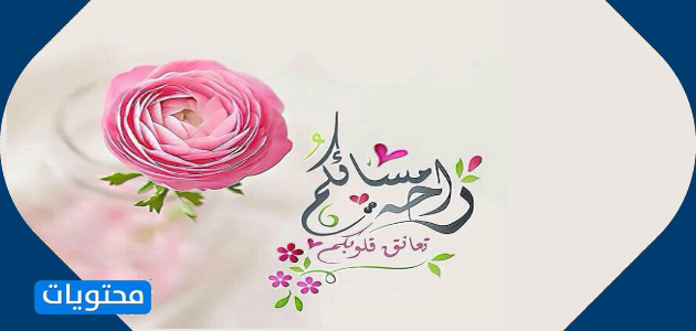 صور في المساء عن اقوال 1