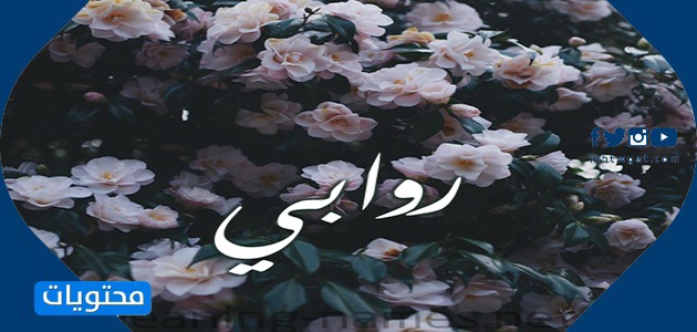 معنى اسم روابي