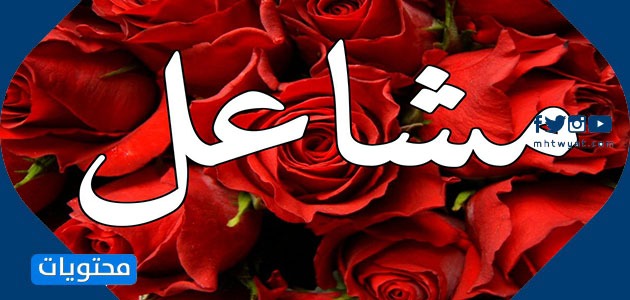 معنى اسم مشاعل