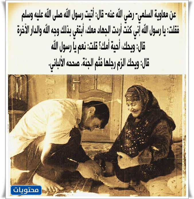 صور جميلة ومؤثرة لصلاح الام