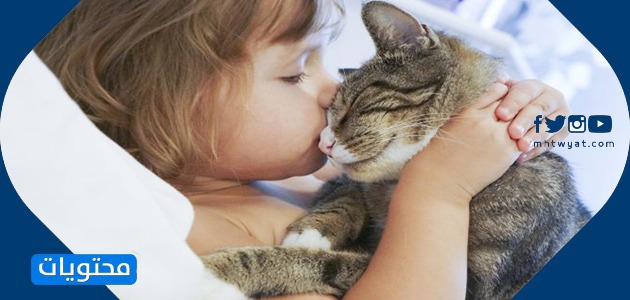 صور رعاية الحيوان