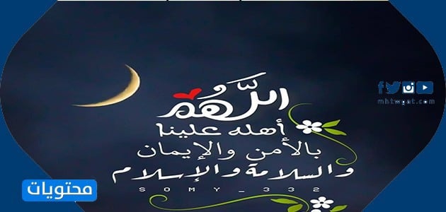 صور دب شعبان