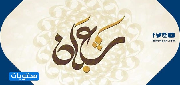 صور دب شعبان