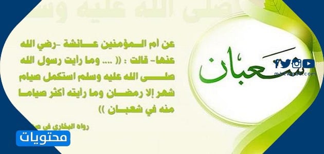 صور دب شعبان