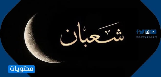 صور دب شعبان