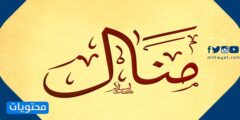 معنى اسم منال وصفات حاملته وحكم تسميته في الإسلام