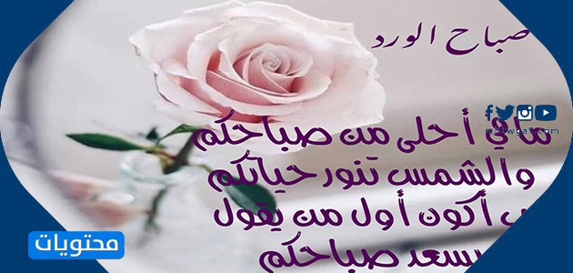 صور عبارات صباحيه جميله