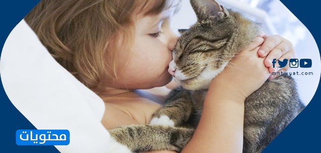 صور رعاية الحيوان