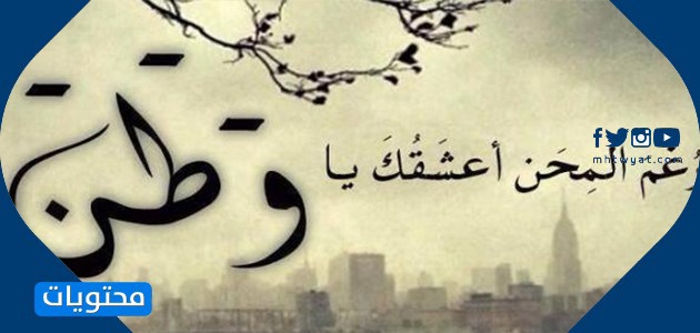 عبارات من الوطن السعودي